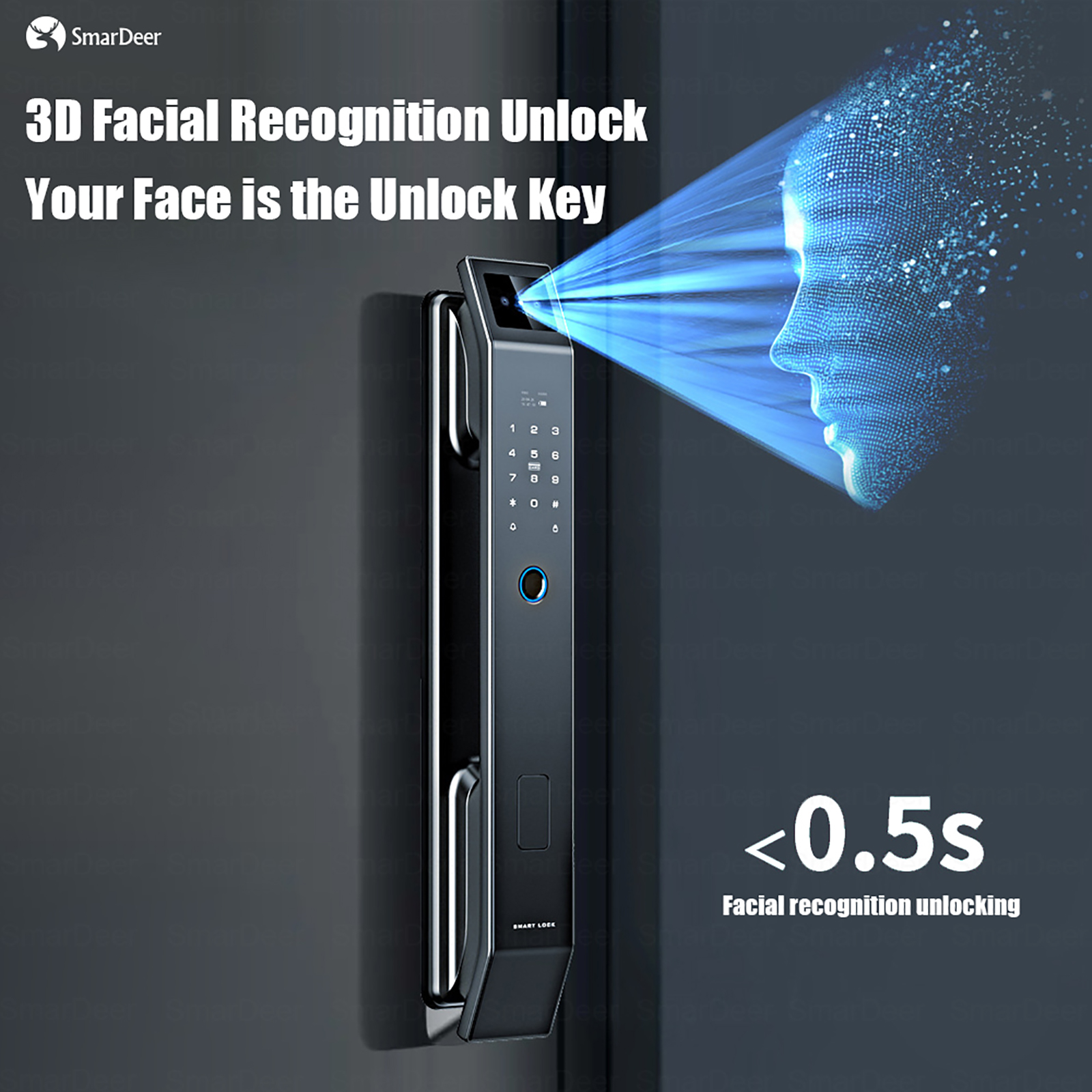 SmaerDeer Smart lock with Came - Video Doorbell 리뷰 및 가격