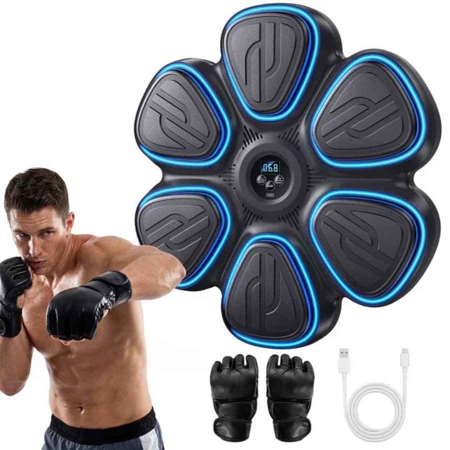 Music Boxing Machine for Adult - Smart Home Gym 리뷰 및 가격