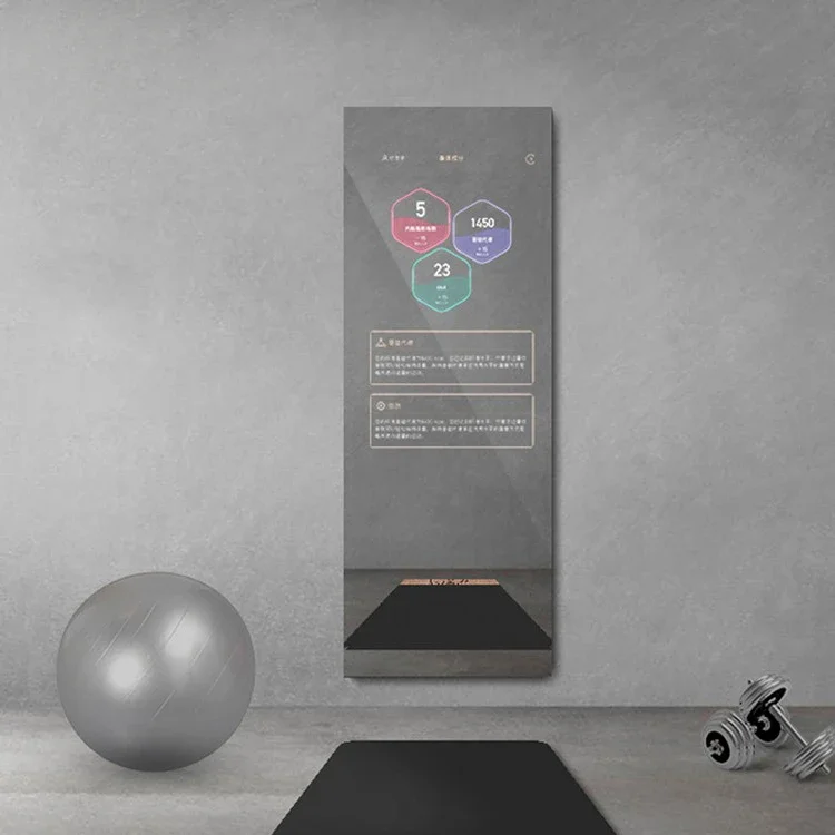 Metafit Tonal Home Glass Wall  - Smart Home Gym 리뷰 및 가격