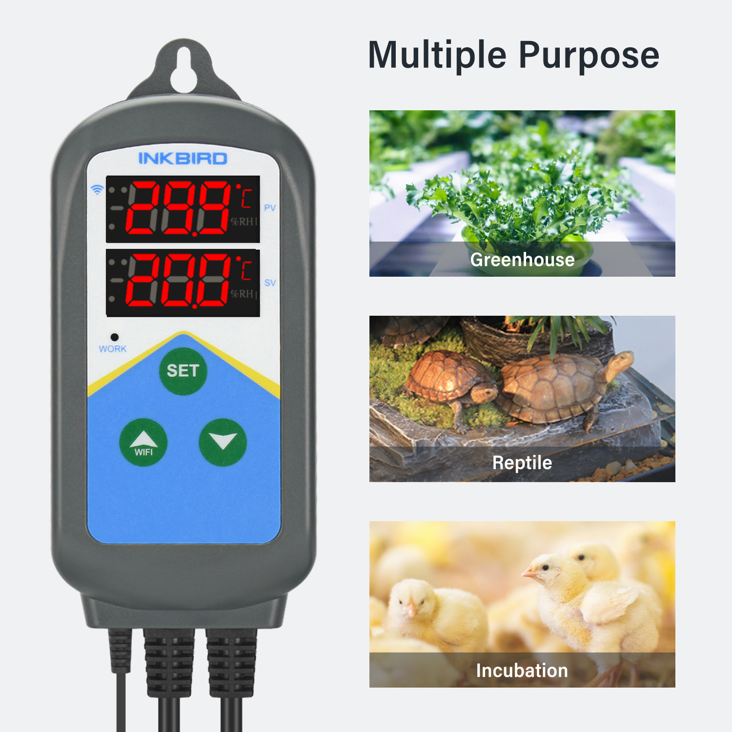INKBIRD WIFI Thermoregulator I - Wifi Thermostat 리뷰 및 가격